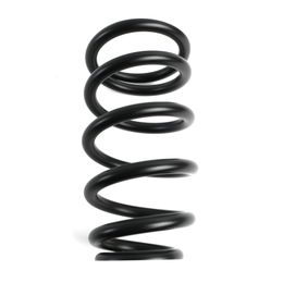 PFI-10GM450, Pro Shocks Coilover Conversion Springs 10GM450 в ОАЭ, Дубай. Состояние - новое. Цена 470 AED. Фото, контакты продавца | AUTO.AE