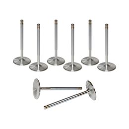 AFR-7251-8, AFR Replacement Stainless Steel Valves 7251-8 في الإمارات, دبي. Condition - new. Price 710 AED. Photo, seller contacts | AUTO.AE