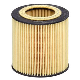 HNT-E61H-D215, Hengst Oil Filter Elements E61H D215 in UAE, Dubai. Condition - new. Price 60 AED. Photo, seller contacts | AUTO.AE