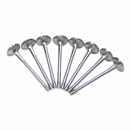 F6048, FERREA F6048 Intake Valve 6000 Competiton Series for ACURA Integra GSR 1994-2000 / HONDA Civic SI 1999-2000 في الإمارات, دبي. Condition - new. Price 130 AED. Photo, seller contacts | AUTO.AE