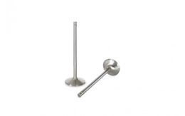 F1496P, FERREA F1496P Racing Competition intake Valves TOYOTA 2JZ-GTE (need 12 pcs) في الإمارات, دبي. Condition - new. Price 180 AED. Photo, seller contacts | AUTO.AE