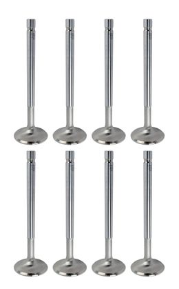 MAN-11799-8, Manley Race Master Valves 11799-8 в ОАЭ, Дубай. Состояние - новое. Цена 910 AED. Фото, контакты продавца | AUTO.AE