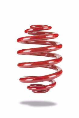 PED-2589, Pedders SportsRyder Stock Height Coil Springs for 2004-2006 GTO - PED-2589 in UAE, Dubai. Condition - new. Price 740 AED. Photo, seller contacts | AUTO.AE