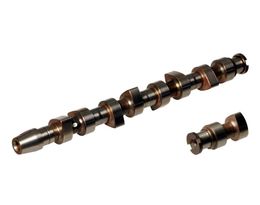 AJU-93163200, Ajusa Camshafts 93163200 in UAE, Dubai. Condition - new. Price 1,890 AED. Photo, seller contacts | AUTO.AE