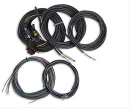 HLY-558-436, Holley EFI Digital Dash Replacement Wiring Harnesses 558-436 в ОАЭ, Дубай. Состояние - новое. Цена 1 030 AED. Фото, контакты продавца | AUTO.AE