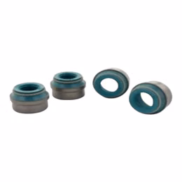 VS1038, FERREA VS1038 Intake Valve Seal 5.5mm for TOYOTA GR Corolla (E210) in UAE, Dubai. Condition - new. Price 20 AED. Photo, seller contacts | AUTO.AE