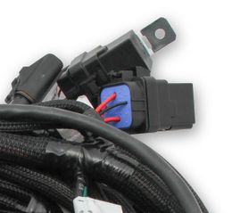 HLY-558-122, Holley EFI Systems Main Wiring Harnesses for 2011-2017 F-150, MUSTANG - 558-122 في الإمارات, دبي. Condition - new. Price 4,300 AED. Photo, seller contacts | AUTO.AE