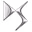 DS
