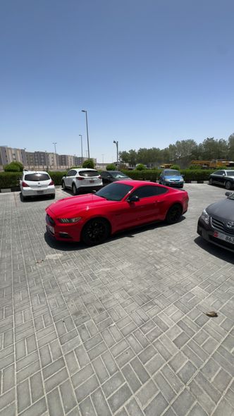 Ford Mustang سادساً