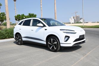 BYD Sea Lion 06