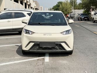 BYD Seagull (Libird 2) I