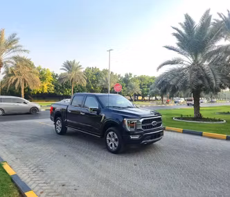 Ford F-150 XIV