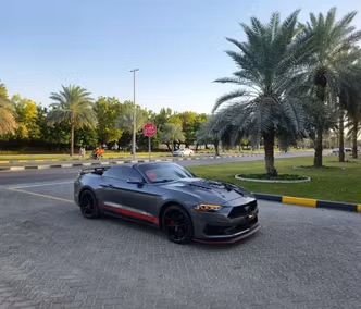 Ford Mustang EcoBoost VI Facelift