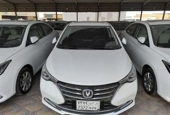 ⁦Changan Alsvin⁩