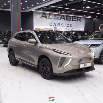 DongFeng Forthing Friday