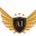 A1 Luxury Car Rental