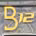B12 Motors