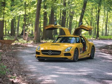 Mercedes-Benz SLS AMG Black Series, 2014