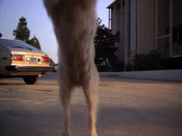 Honda Accord in C.H.O.M.P.S. (1979)
