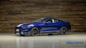 Ford Shelby GT350 50th Anniversary, 2015