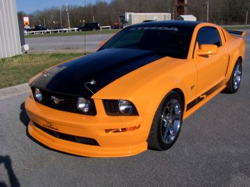 Ford Steeda Mustang GT, 2008