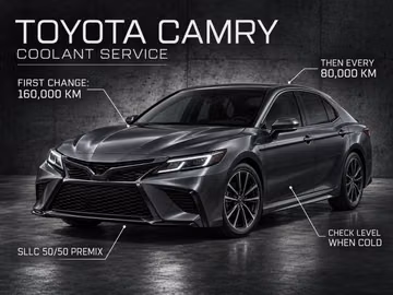 Замена охлаждающей жидкости Toyota Camry: интервалы, объёмы и проверка системы
