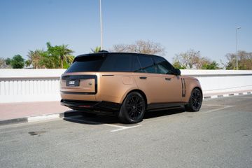 Custom Automotive Paint Services — DEIZ 