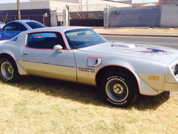 Pontiac Firebird Trans Am, 1977