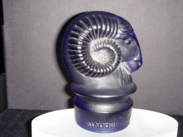 TETE DE’BELIER Ram’s Head