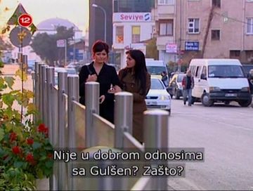 Ford-Otosan Transit in Yaprak Dökümü (2006-2010)