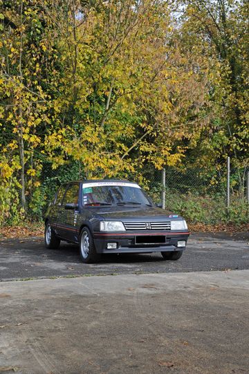 Peugeot 205 GTI 1.9, 1990