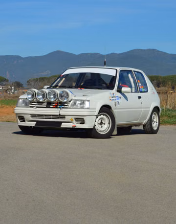 PEUGEOT 205 Rallye Gr. N, 1990