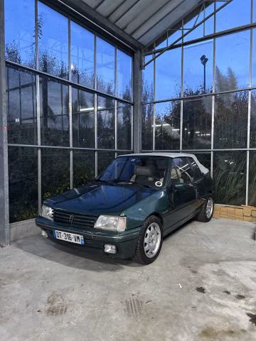 Peugeot 205 Cabriolet Roland Garros, 1991