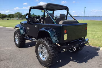 JEEP WRANGLER CUSTOM SUV, 1991