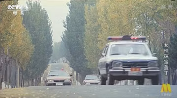 Guangzhou-Peugeot 504 Station Wagon in 女神探宝盖丁 (1989)