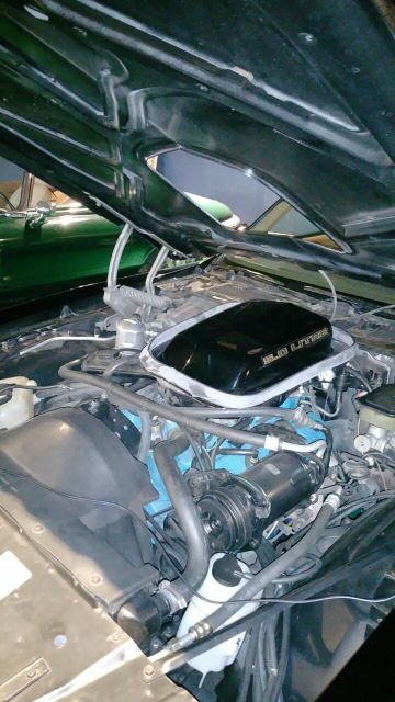 Pontiac Firebird Trans Am, 1981