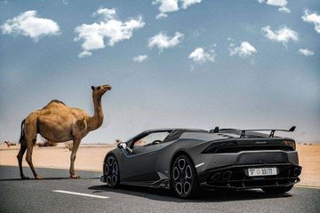 The Ultimate Dubai Experience