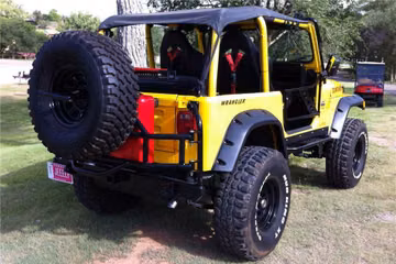 JEEP WRANGLER CUSTOM SUV, 1993