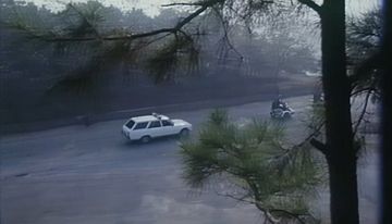 Guangzhou-Peugeot 504 Station Wagon in 雨雾魔影 (1990)