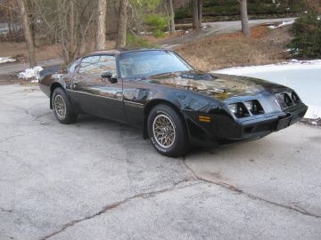 Pontiac Firebird, 1981
