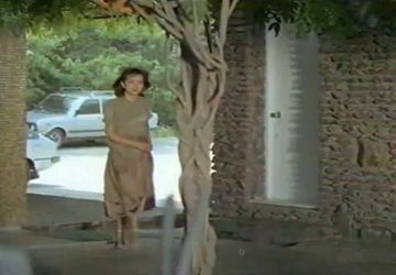 Fiat-Kia 132 in 진아의 벌레먹은 장미 (1982)