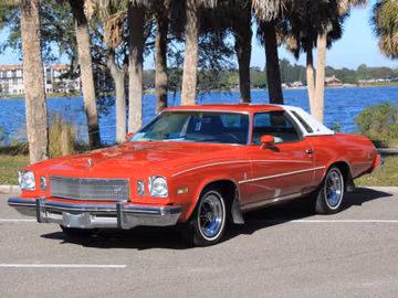 Buick Regal Landau Coupe, 1975