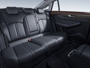 DongFeng Shine Max, Седан — задние сиденья