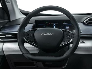 DongFeng Sky EV01, Внедорожник 5 дв. — рулевое колесо