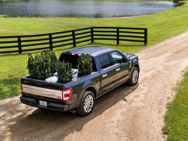 Ford F-150 XIV, Пикап двойная кабина SuperCrew — вид сзади в три четверти