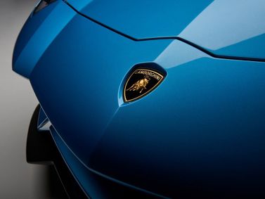 Lamborghini Aventador أنا فيس ليفت، رودستر — شعار السيارة واسم الطراز
