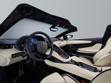 Lamborghini Aventador أنا فيس ليفت، رودستر — منطقة السائق