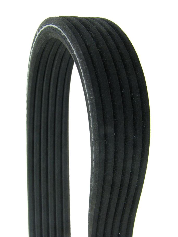 CEL-D4060865, Continental OE Technology Series Multi-V Belts for 2012-2013 EXPLORER - D4060865 in UAE, Dubai. Condition - new. Price 190 AED. Photo, seller contacts | AUTO.AE