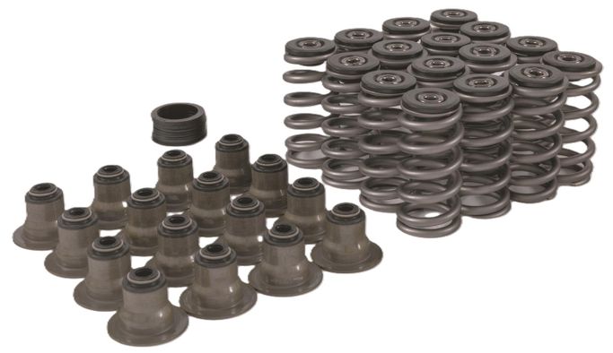 TFS-2500500, Trick Flow® Valve Spring Upgrade Kits for Ford 4.6L/5.4L 2V Engines TFS-2500500 в ОАЭ, Дубай. Состояние - новое. Цена 1 200 AED. Фото, контакты продавца | AUTO.AE