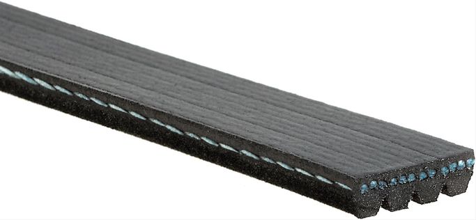 ADO-4K355SF, ACDelco V-Ribbed Serpentine Belts 19188362 في الإمارات العربية المتحدة, دبي. Condition - new. Price ⁦150 AED⁩. Photo, seller contacts | AUTO.AE